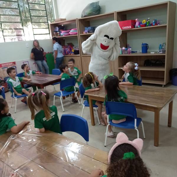 ze gotinha (41).jpeg